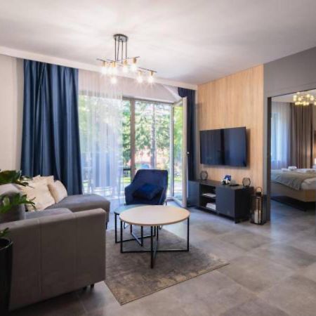 Apartament Prywatny Stone Hill Rackiewicz Z Basenem Szklarska Poręba Buitenkant foto