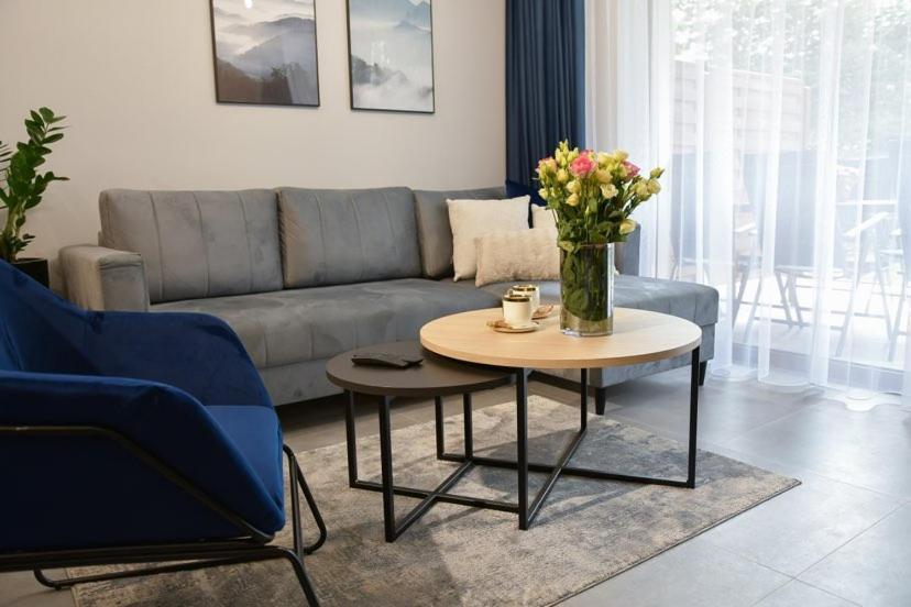 Apartament Prywatny Stone Hill Rackiewicz Z Basenem Szklarska Poręba Buitenkant foto