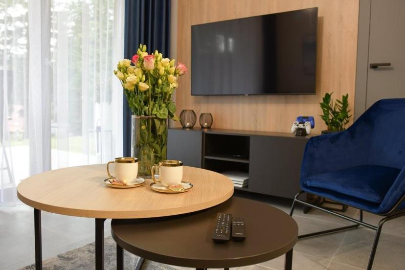 Apartament Prywatny Stone Hill Rackiewicz Z Basenem Szklarska Poręba Buitenkant foto